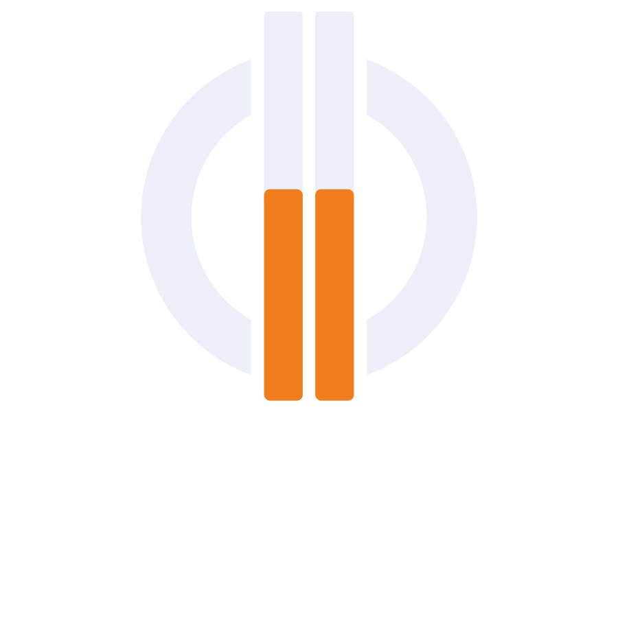 Cape Valve Logo
